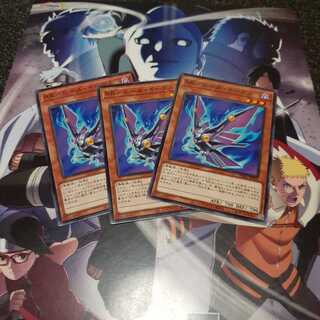 RR-ヒール・イーグル　セット