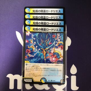 知識の精霊ロードリエス　４枚