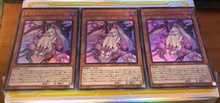 遊戯王 カクリヨノチザクラ 3枚セット