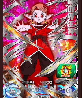 ドラゴンボールヒーローズ   SHOさん専用