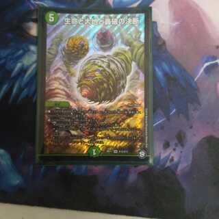 最安値生命と大地と轟破の決断 SR