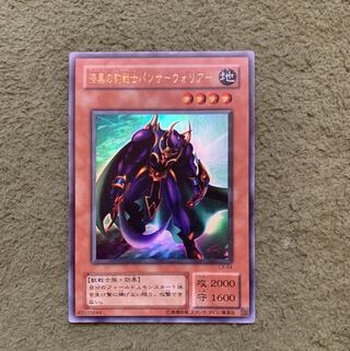 漆黒の豹戦士パンサーウォリアー UR