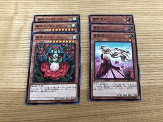 Yu-Gi-Oh Cards Plant Set 1枚
