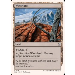 不毛の大地/Wasteland《英語》【Reprint Cards(Mystery Booster2)】 1枚