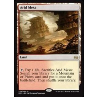 [EX+]乾燥台地/Arid Mesa《英語》【MM3】 1枚
