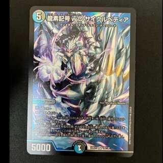 #龍素記号wD サイクルペディア SR 18/130 1枚
