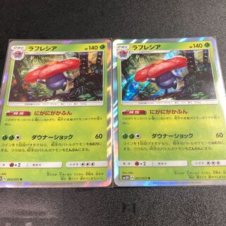 ラフレシア 2枚