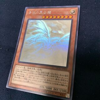 キリトさま専用　青眼の亜白龍 HRなど