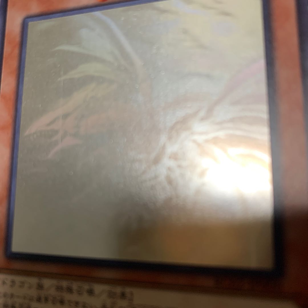 キリトさま専用 青眼の亜白龍 HRなど