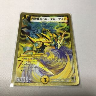 キャンタ様専用　光神龍スペル・デル・フィン