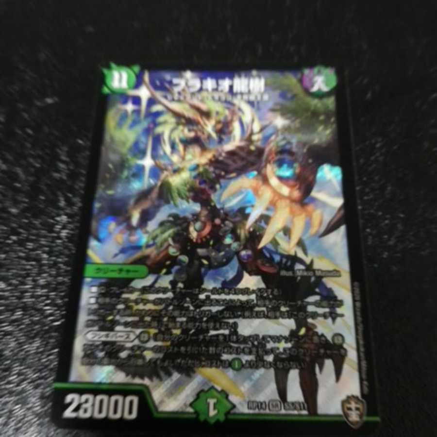 傷有り特価!!ブラキオ龍樹