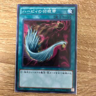 ハーピィの羽根帚 N