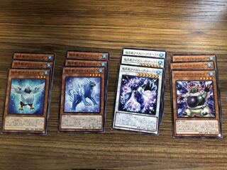 遊戯王カード　極氷獣セット