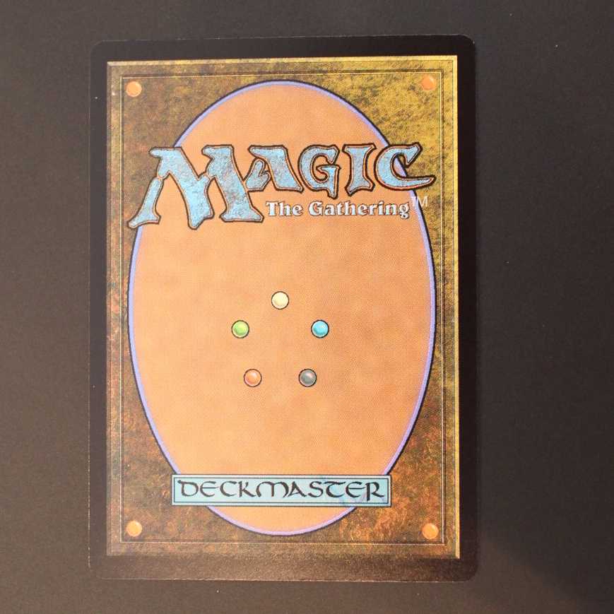 RNA【踏み鳴らされる地】日本語