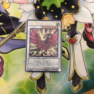 月華竜 ブラック・ローズ UR