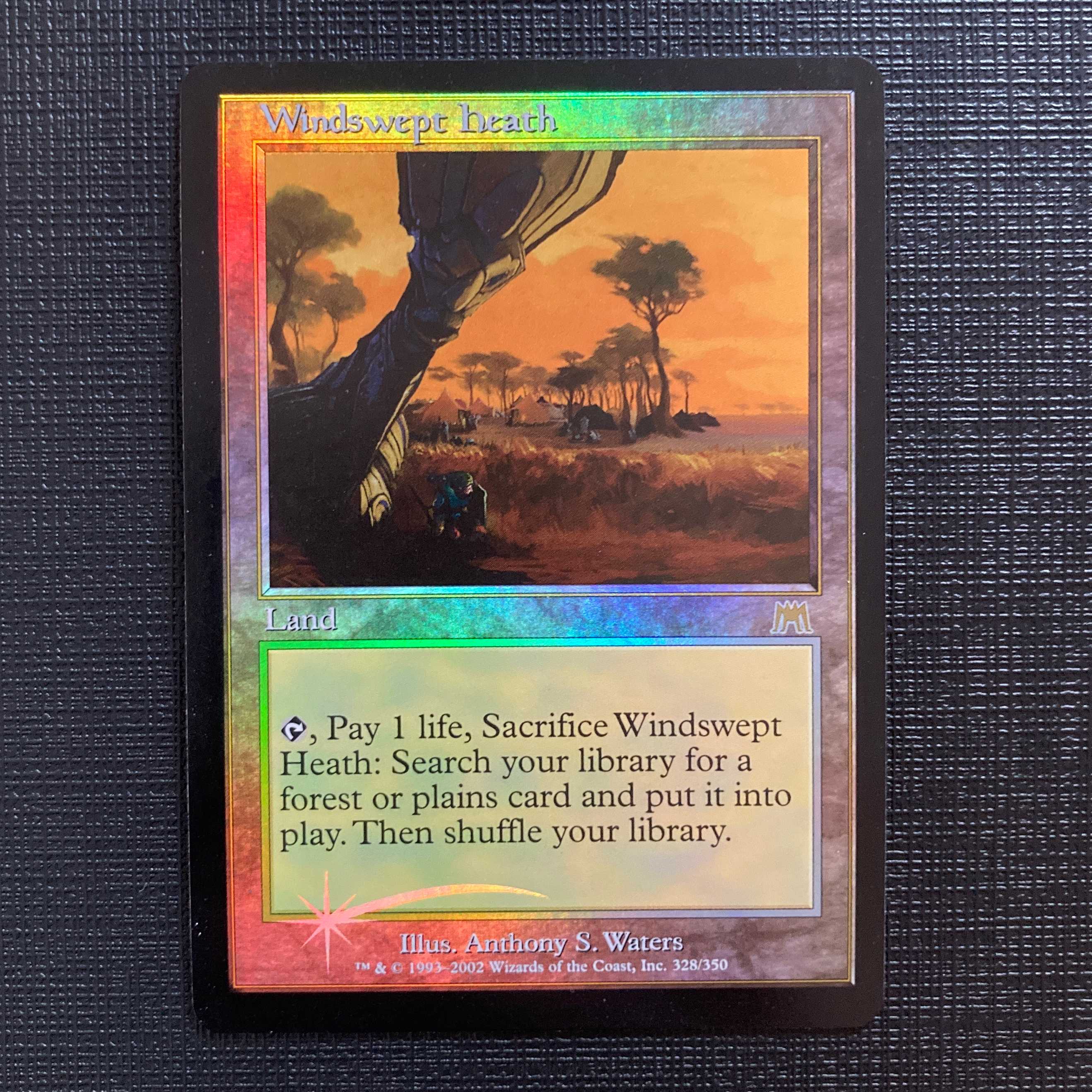 ONS [Windswept Heath] English Old Frame Foil