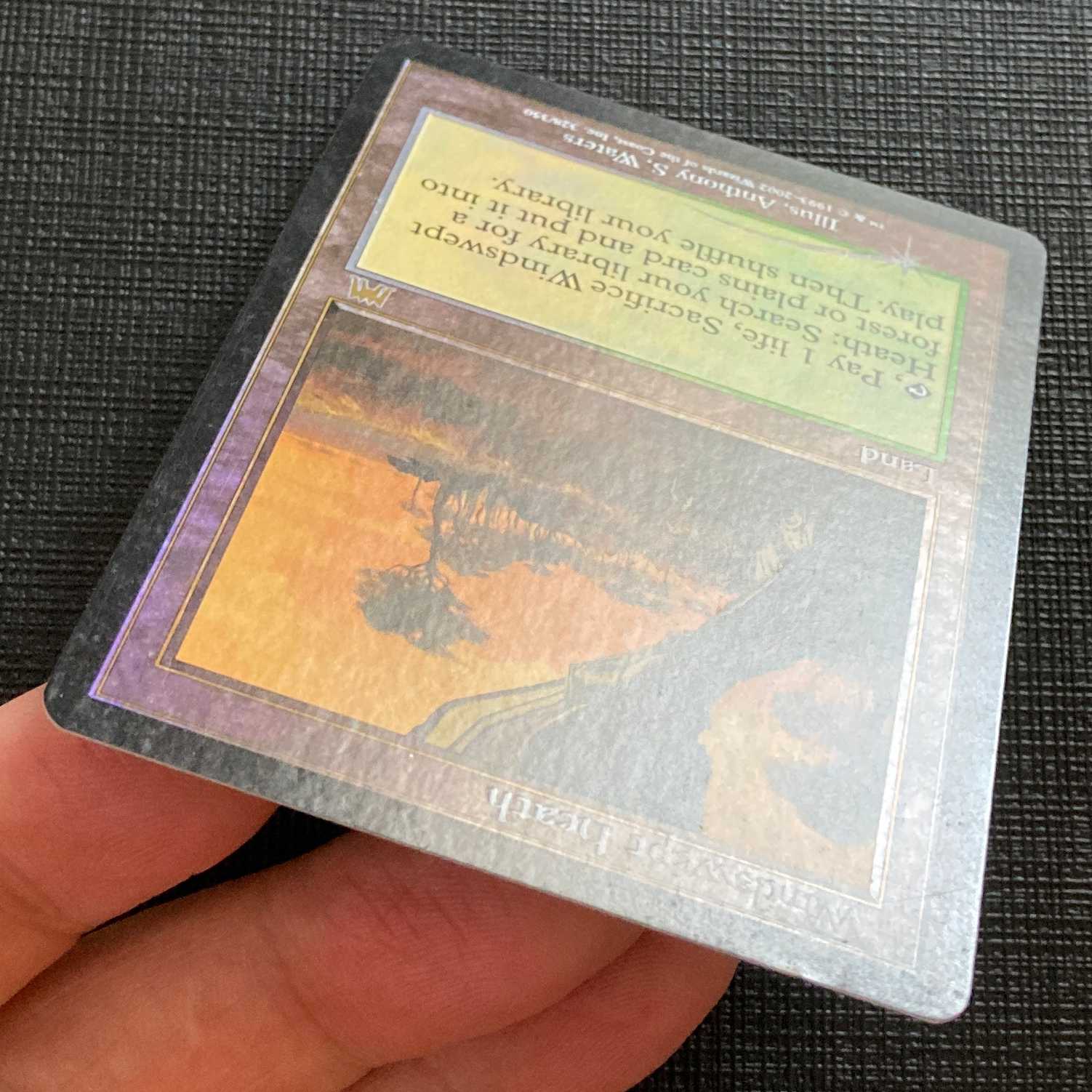 ONS [Windswept Heath] English Old Frame Foil