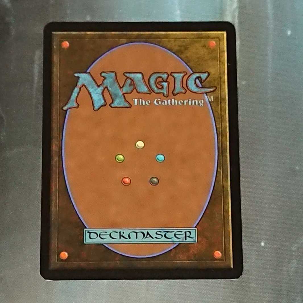 電結の荒廃者 [DST] 【BIGWEB | MTG】日本最大級の激安カード