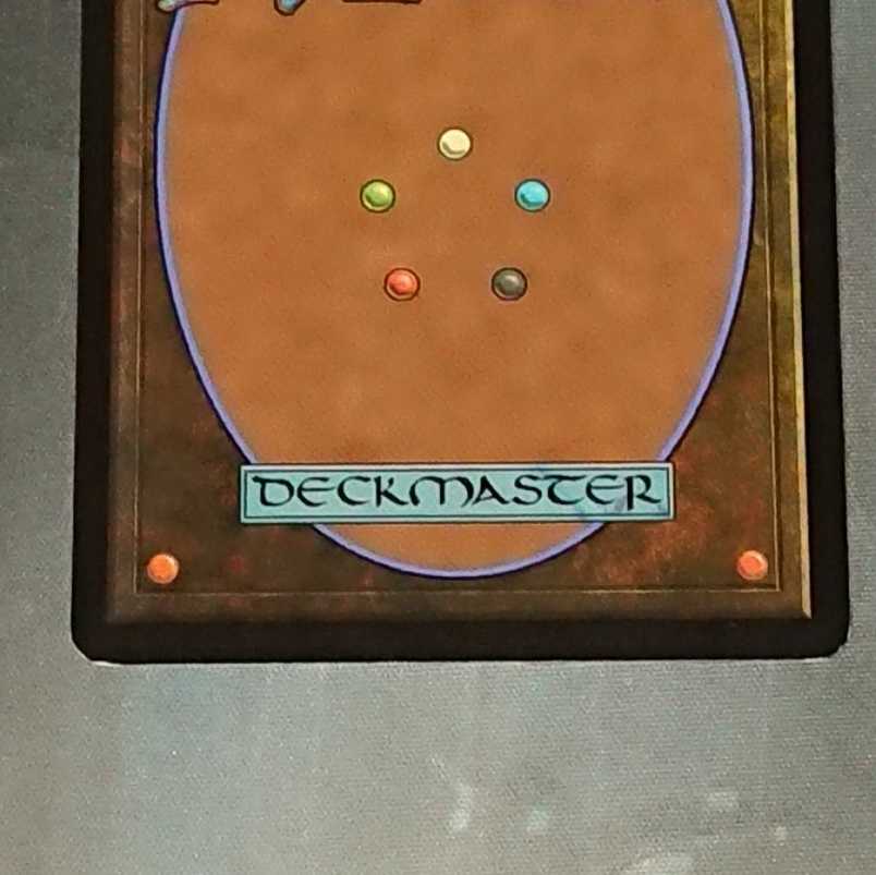 【MTG】電結の荒廃者　日本版