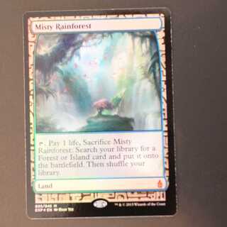 MPS【霧深い雨林】英語 Foil