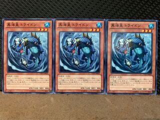 【ぽぽたん】遊戯王 607 真海皇 トライドン 3枚 ノーマル
