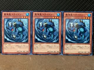 【ぽぽたん】遊戯王 3299 真海皇 トライドン 3枚 ノーマル