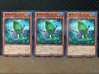 【ぽぽたん】遊戯王 3636 森羅の水先 リーフ 3枚 ノーマル
