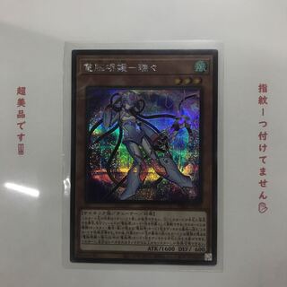 最終値下げ！　電脳堺媛-瑞々 SE