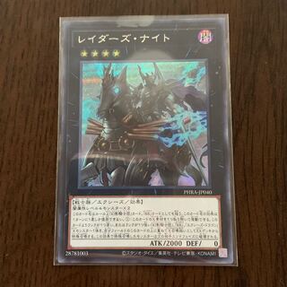 レイダーズ・ナイト SE