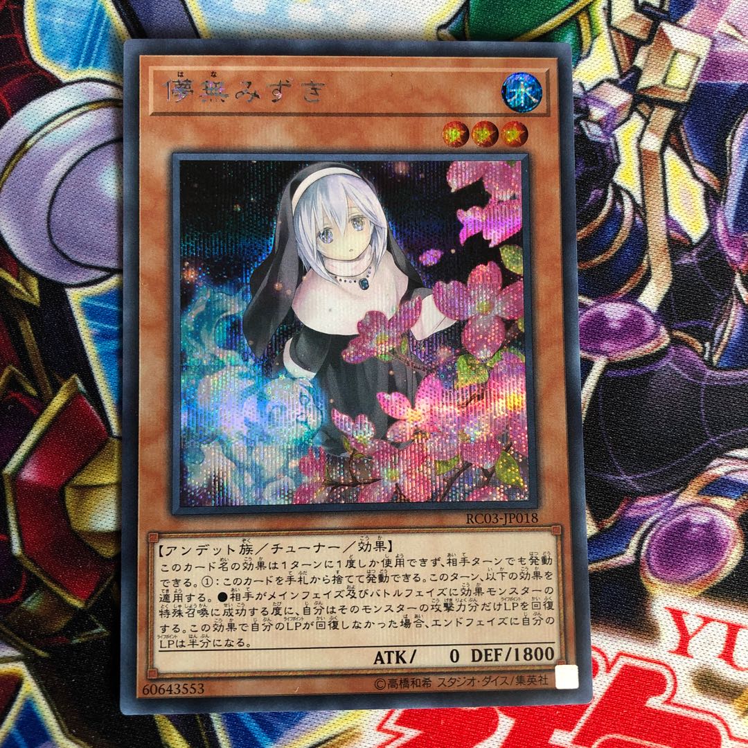 儚無みずき(海外版イラスト)