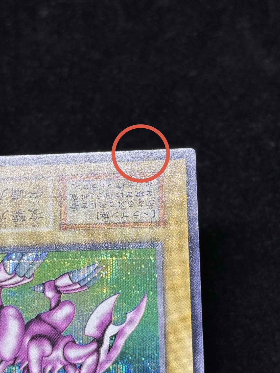 [Condition A-] Holy Knight Dragon [Secret] {Initial} 《Monster》 1枚