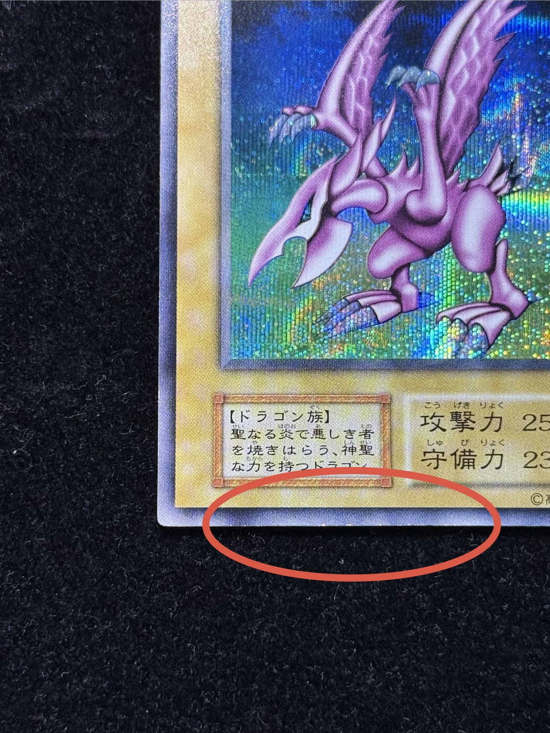 [Condition A-] Holy Knight Dragon [Secret] {Initial} 《Monster》 1枚