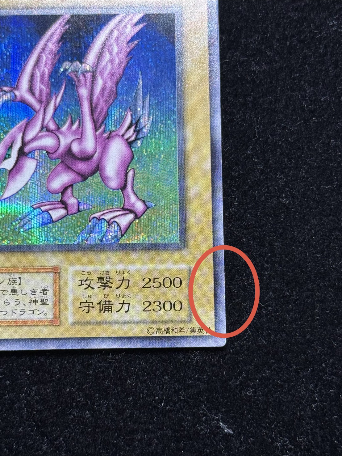 [Condition A-] Holy Knight Dragon [Secret] {Initial} 《Monster》 1枚