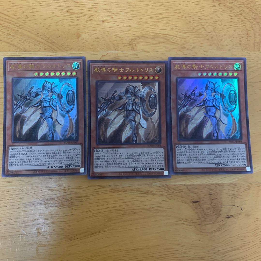 教導の騎士フルルドリス