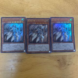 教導の騎士フルルドリス