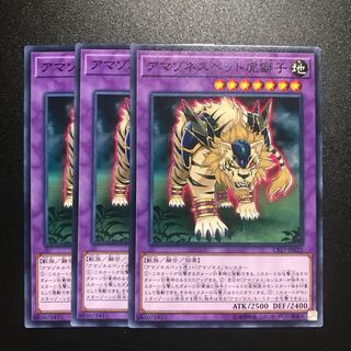 アマゾネスペット虎獅子 N