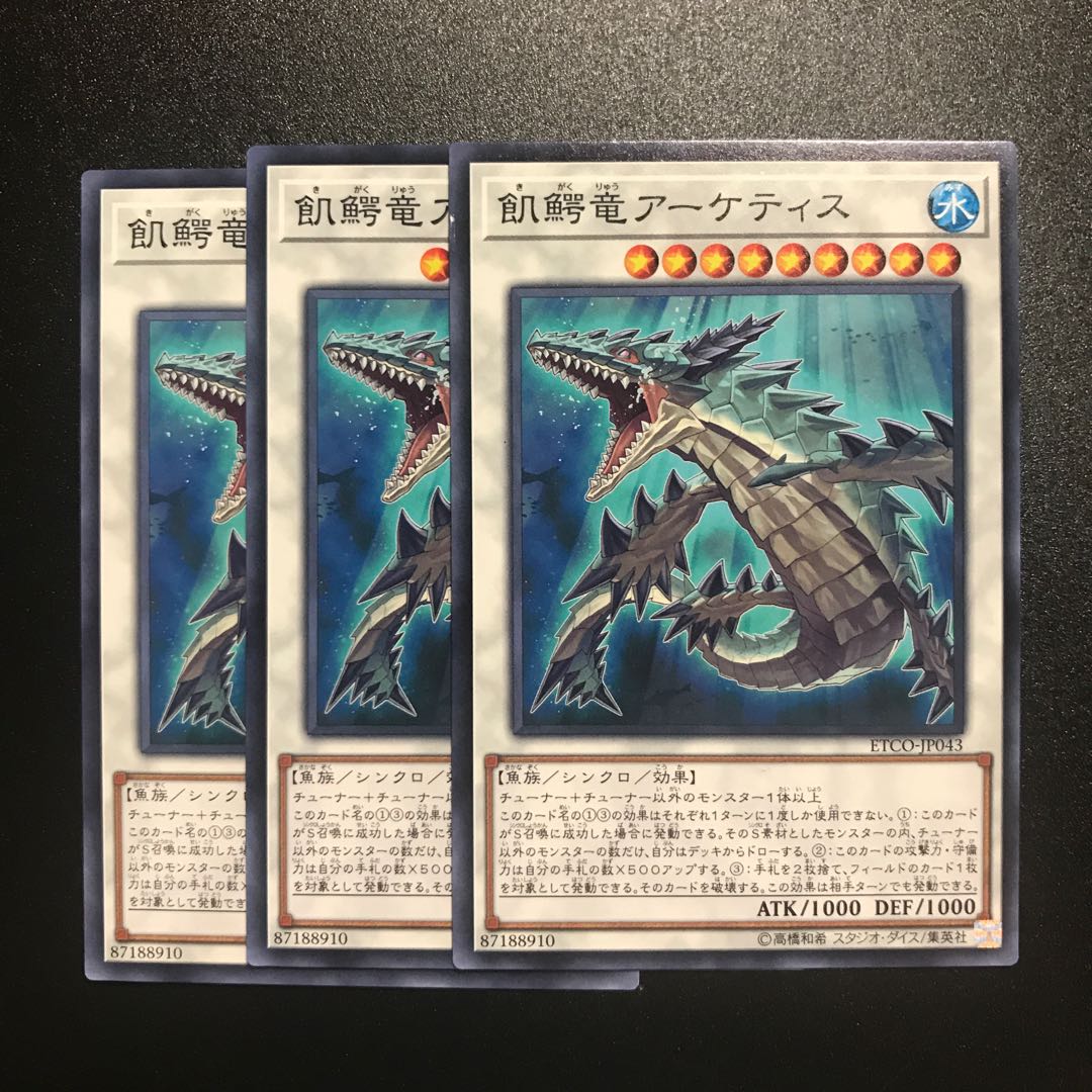 飢鰐竜アーケティス N