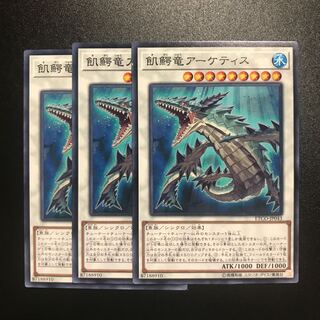 飢鰐竜アーケティス N