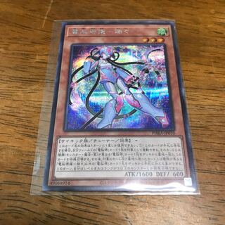 Dennou Sakai Ehime - Ruizui SE