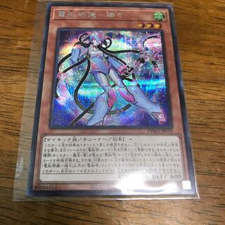 電脳堺媛-瑞々 SE