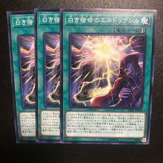 白き宿命のエルドリクシル N