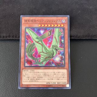 捕食植物ヘリアンフォリンクス SR