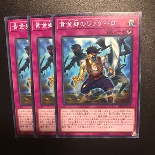 黄金郷のワッケーロ N