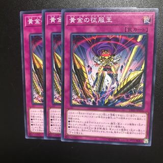 黄金の征服王 N