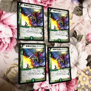 Land of Reflection Capricorn U