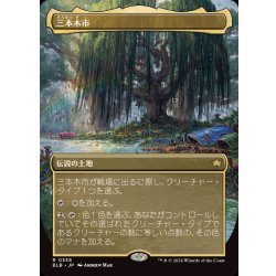 [EX+] (Full Art) (0338) Sanbonmaki City/Three Tree City 《Japanese》 [BLB] 1枚