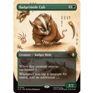 (Full Art) Badgermole Cub《English》【TLA】 1枚