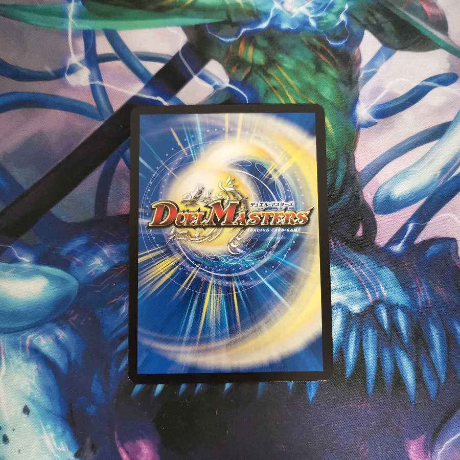 「絶対の楯騎士」