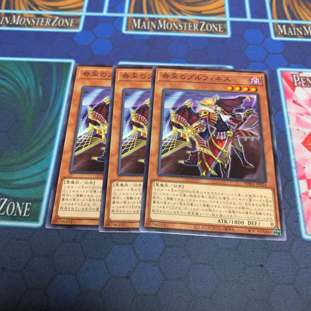 奇采のプルフィネス N