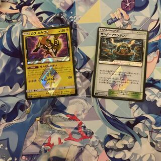 カプ・コケコ◇とサンダーマウンテン◇